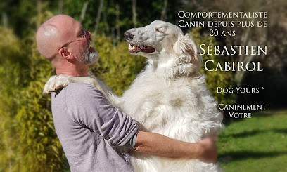 Dog Yours - Sébastien Cabirol - Profession Depuis Plus De 22 Ans. Comportementaliste Canin à Limoges En Haute Vienne, 87., Dresseur de Chiens à Saint-Gence