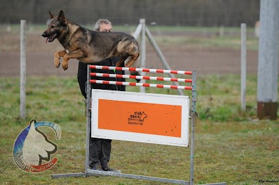 Club Canin De Schirrhein Schirrrhoffen, Dresseur de Chiens à Schirrhein