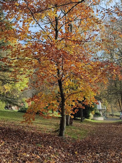 Pet Sitter Of Lady White, Pension pour Chiens à Autheuil-en-Valois
