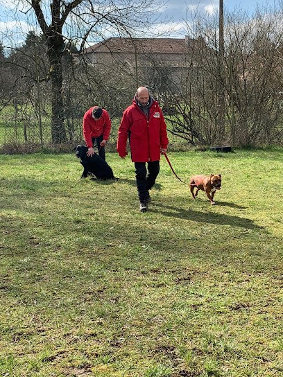 Domaine Du Lor Molosse complex canin, Eleveur de Chiens à Ménil-sur-Saulx