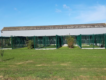 PENSION CANINE DU BORDAGE- SARL GUINAUDEAU MS, Pension pour Chiens à Cholet