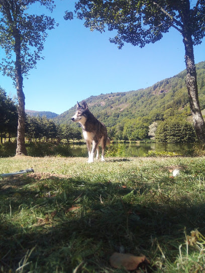 Le Cocon Des Toutous, Pension Pour Chien à Saint-Privat-d'Allier
