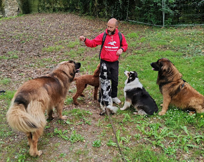 Fun Dog Training- Éducateur Canin Cholet(49) Dresseur De Chiens à Cholet