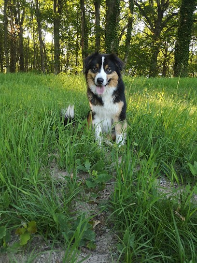 La vallée des loups bleus, Eleveur de Chiens à Issy-l'Évêque