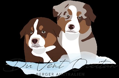 élevage Du Vent Occitan - Cantaussels, Eleveur de Chiens à Campestre-et-Luc