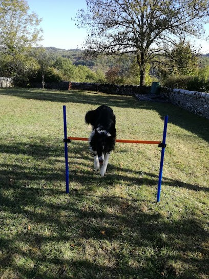 Casa Canis- Éducateur canin, Dresseur de Chiens à Nadillac