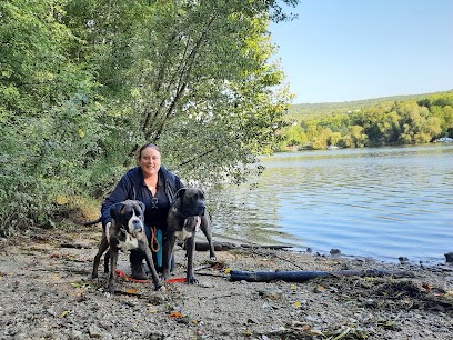 LMC Dog - Éducateur Comportementaliste Canin - Mantes La Jolie - Les Mureaux - Magny En Vexin - Cergy - Vernon - Gisors, Dresseur de Chiens à Villers-en-Arthies