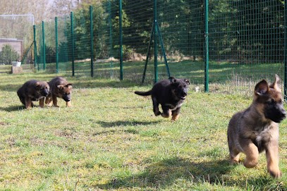 Centre Canin et Félin, Eleveur de Chiens à Labbeville