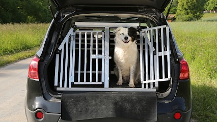 Accueil Canin d'Ile-de-France, Pension pour Chiens à Authon-la-Plaine
