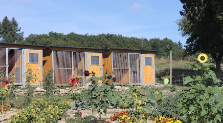 Pension et Education Canine de la Ganne de Fer, Pension pour Chiens à Neuf-Église