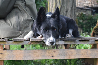 Colocaninecorrézienne - Pension Canine - Corrèze / Lot, Pension Pour Chien à Liourdres