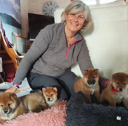 Shiba Du Valentonia, Éleveur De Chiens à la Chapelle-d'Aurec