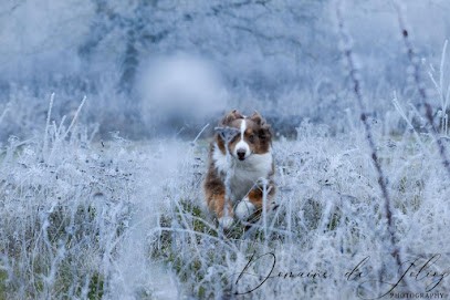 Elevage du Rivage des Mille Etangs, Eleveur de Chiens à Fresse