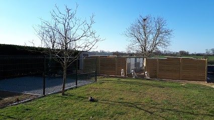 La Maison Des Anges, Pension pour Chiens à Sèvremoine