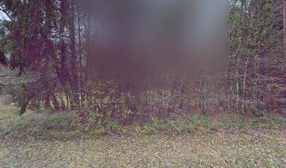 Pension Canine Le Toutous Ranch, Pension pour Chiens à Perrignier