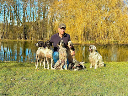 Domaine De Carency - Pension Canine Arras & Lens, Pension Pour Chien à Carency