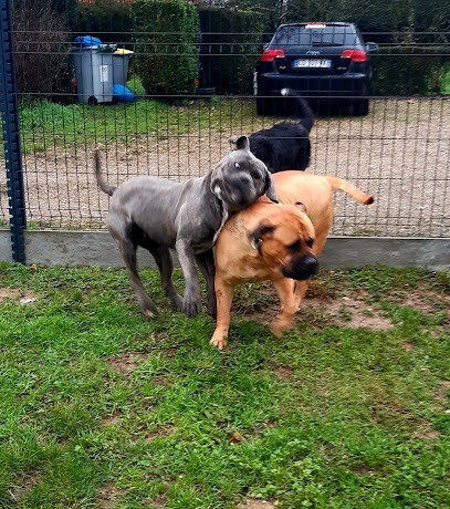 Les Hôtes Dogs De Louméa, Pension pour Chiens à Morville-sur-Andelle