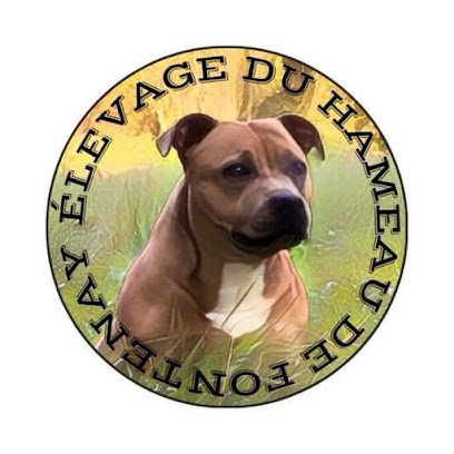 Élevage Hameau De Fontenay: Éleveur De Bouledogue Français Et De Staffordshire Bull Terrier Dans Le Calvados En Normandie, Éleveur De Chiens à Vaux-sur-Seulles