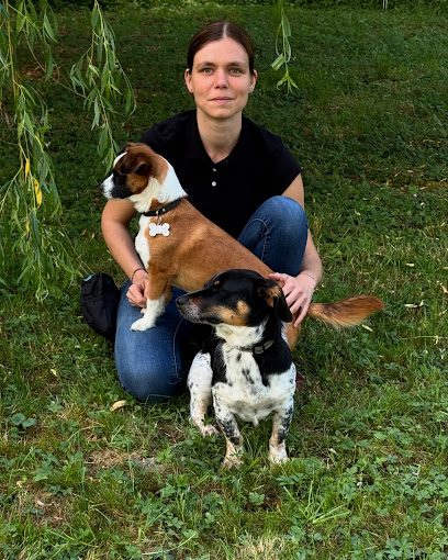 Unydog -- Educateur Comportementaliste Canin Metz & Moselle (57), Dresseur De Chiens à Metz