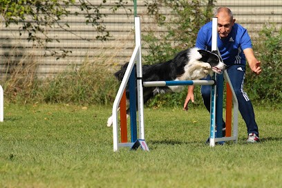 Sports Et Loisirs Canins De Torcy, Dresseur de Chiens à Torcy