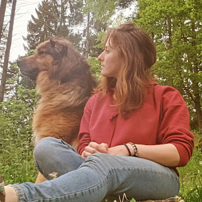 La Dresse Canine Dresseur De Chiens à Metzeral