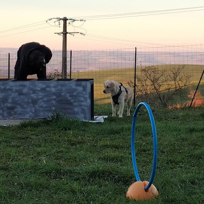 Cécile - Occicani, Dresseur de Chiens à Mérenvielle