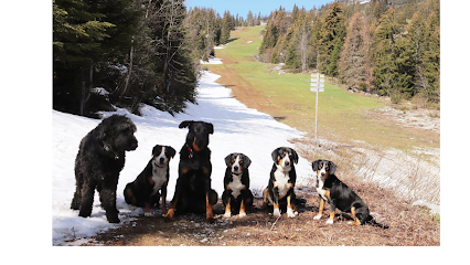 Pension Canine Familiale De La Perle Des Bauges, Pension Pour Chien à Aillon-le-Vieux