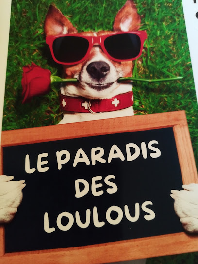Le Paradis Des Loulous Pension Pour Chien à Boulaur