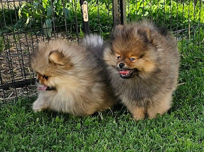 Au royaume des douceurs, Eleveur de Chiens à Angy