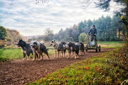 Wood'cie Ranch Canin - kart à chien et cani randonnée, Pension pour Chiens à Chevenon