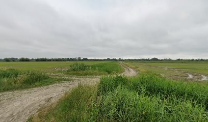 ROYAL DOG SITTER Pension Chien, Pension pour Chiens à Saint-Gilles