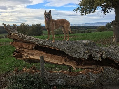 Les Empereurs De Salem, Eleveur de Chiens à Perreux