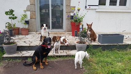 La Co'Lau Dog Saint Mars La Jaille, Pension pour Chiens à Vallons-de-l'Erdre