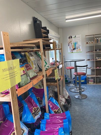 West Dog Services - Julien LAGAISE - Éducation Canine Depuis 2005, Dresseur de Chiens à Trévérien