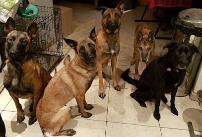 Karine Bigot éducateur Canin - Comportementaliste, Dresseur de Chiens à Persan