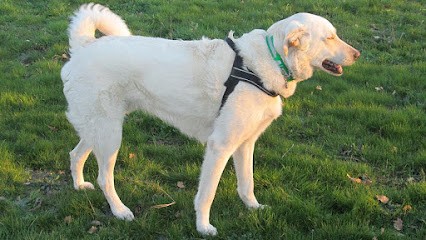 LE DOMAINE DES TOUCHES, Pension pour Chiens à Amberre