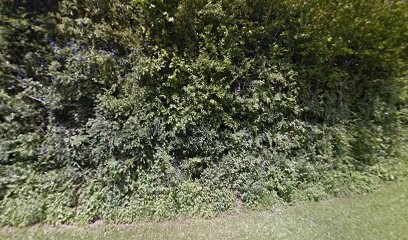 L'Ère Du Chien, Dresseur de Chiens à Maisod