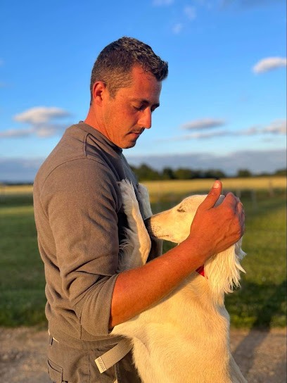 Soleil Vert - Éducation Canine Et Dressage De Chiens, Dresseur de Chiens à Villiers-au-Bouin