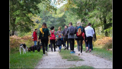 YOANIMO, Dresseur de Chiens à Maillé