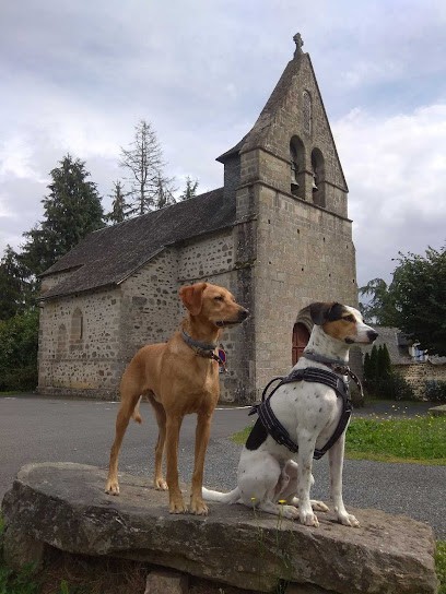 Limouchiens, Educateur Canin En Correze, Dresseur de Chiens à Palazinges