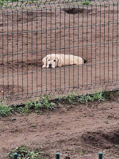 THE DOG BED, Pension pour Chiens à Villenave-d'Ornon