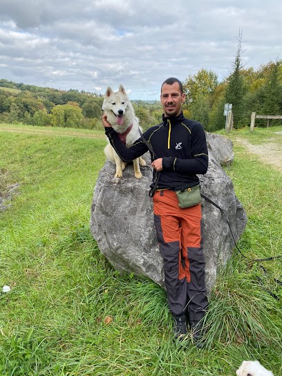 Babines'cool - Éducateur Comportementaliste Canin, Dresseur de Chiens à Saint-Armou