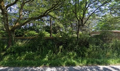 Irish-Wolfounds des Coeurs de Lune, Eleveur de Chiens à Blain