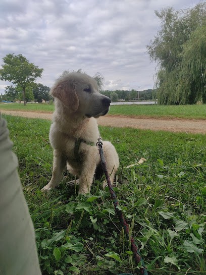 Les Prairies De Lagarde, Pension pour Chiens à L'Isle-en-Dodon