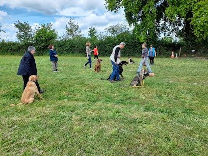 Educ' au poil, Dresseur de Chiens à Limoise