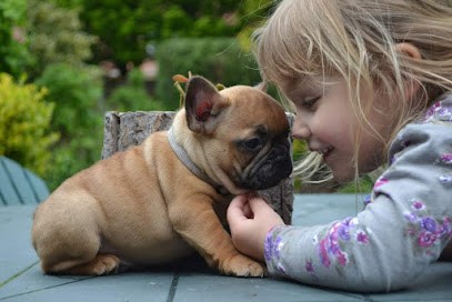 Élevage des trez'or d'hamarkhis, Eleveur de Chiens à Saint-Fulgent-des-Ormes
