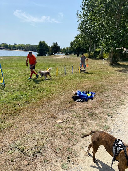 Dogs Educ Life, Dresseur de Chiens à Sannerville