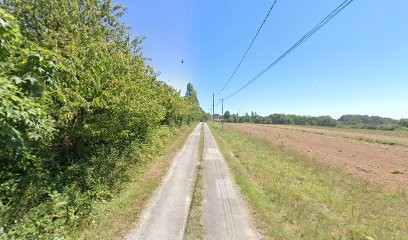 Pension de La Lande DourFal, Pension pour Chiens à Surzur