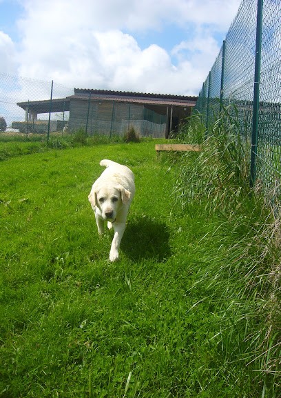 PENSION CHIENS ET CHATS IXARDEL, Pension pour Chiens à L'Honor-de-Cos
