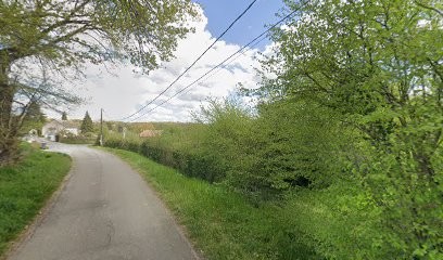 BEDLINGTON TERRIER SOFT LIKE A LAMB, Eleveur de Chiens à Saint-Brice-sur-Vienne